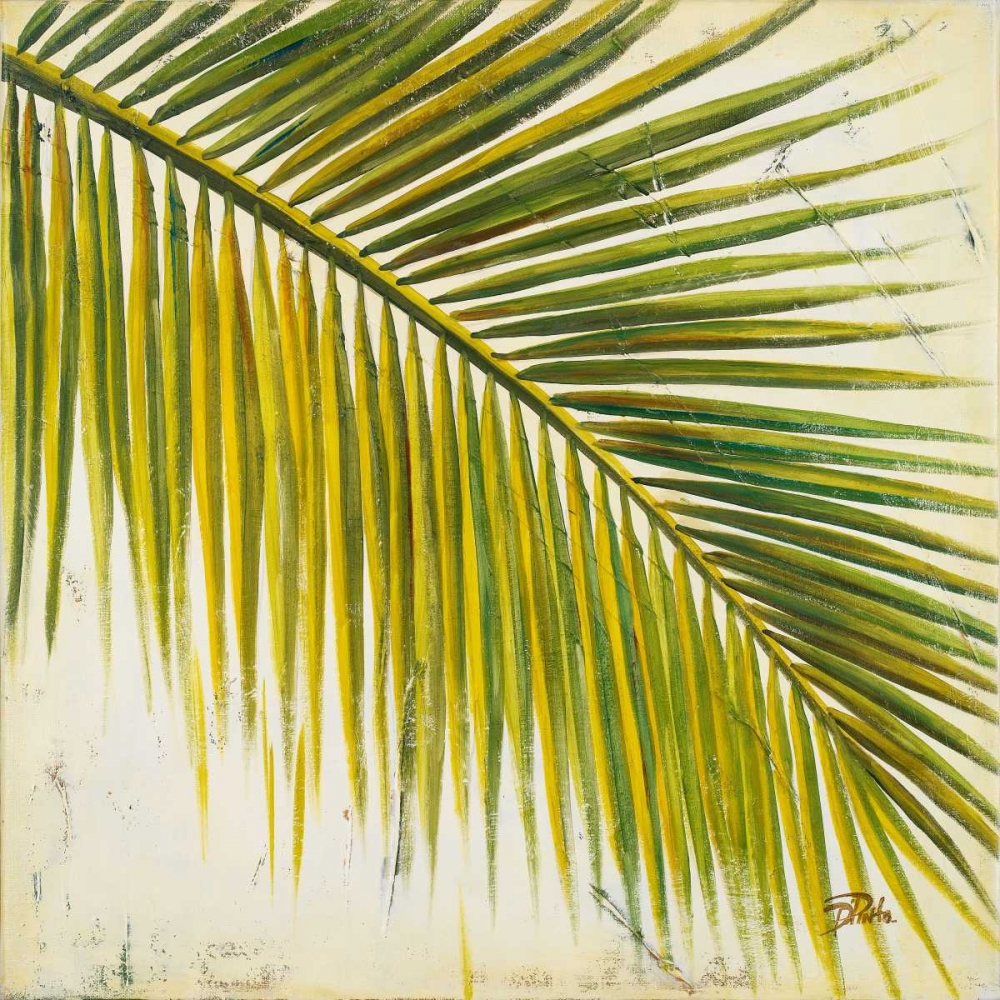 Wall Art Painting id:15175, Name: Baru Palm III, Artist: Pinto, Patricia