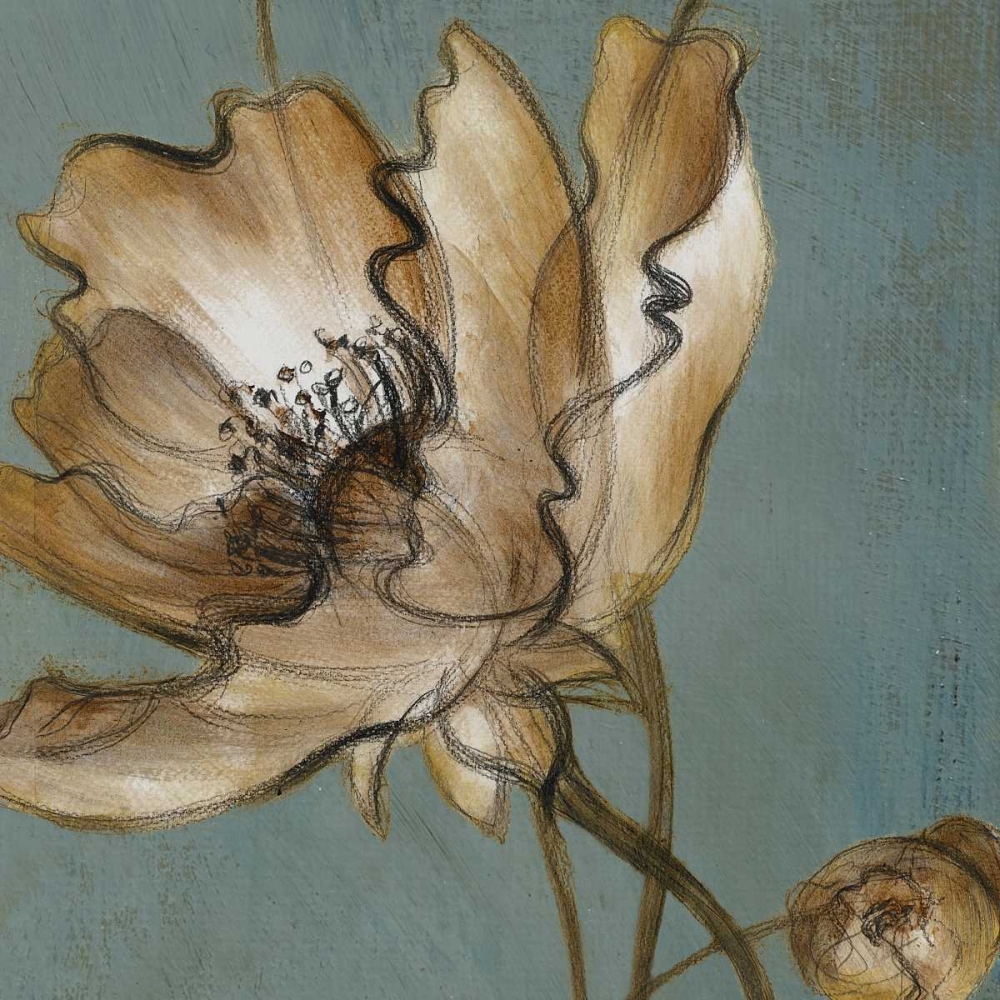 Wall Art Painting id:32479, Name: Translucent Poppies, Artist: Loreth, Lanie