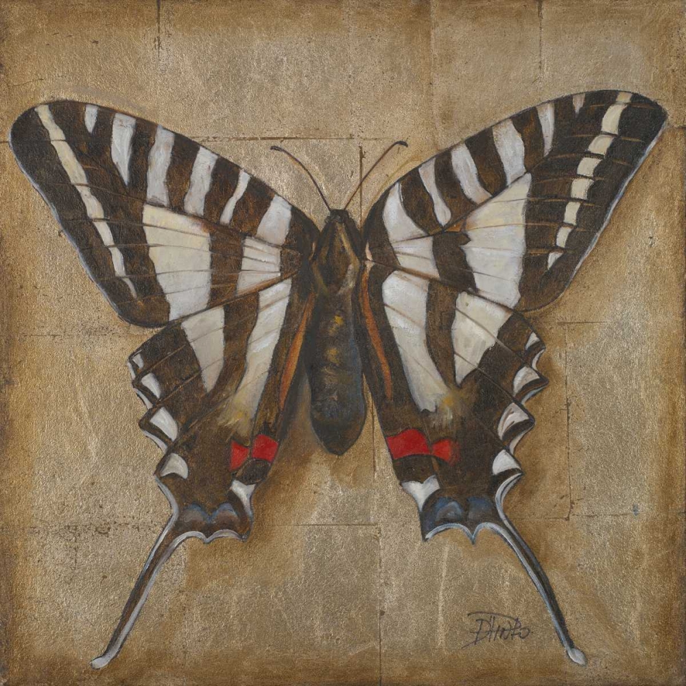 Wall Art Painting id:23421, Name: Butterfly I, Artist: Pinto, Patricia