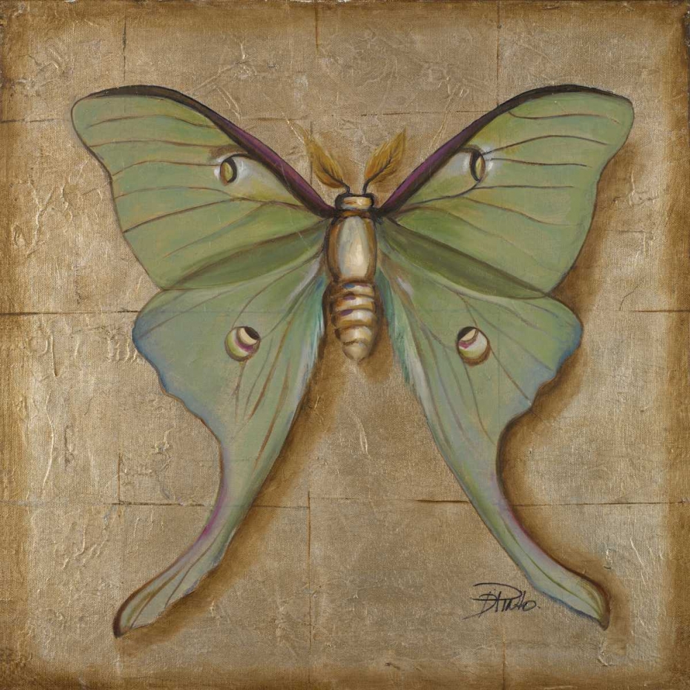 Wall Art Painting id:23424, Name: Luna Moth, Artist: Pinto, Patricia
