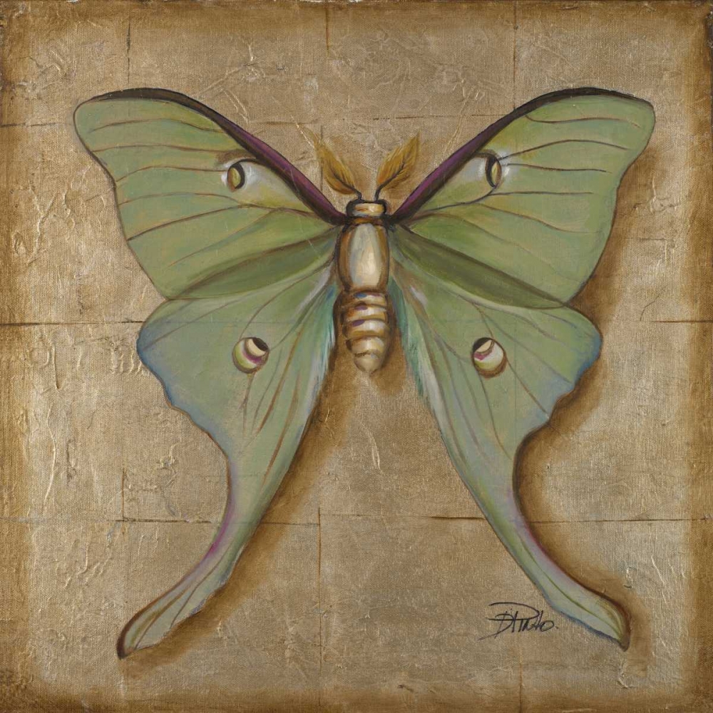 Wall Art Painting id:23424, Name: Luna Moth, Artist: Pinto, Patricia