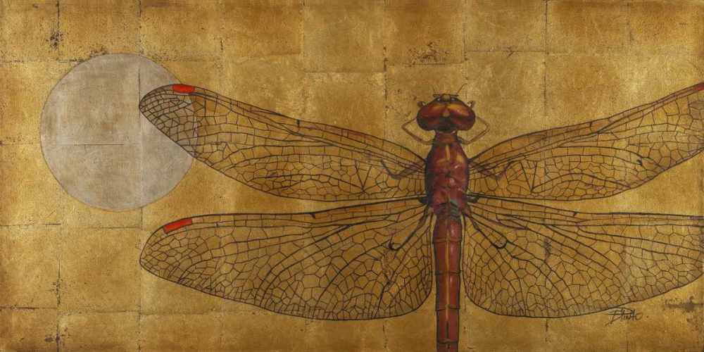 Wall Art Painting id:15195, Name: Dragonfly on Gold, Artist: Pinto, Patricia