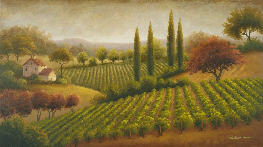 Wall Art Painting id:15205, Name: Vineyard In The Sun I, Artist: Marcon, Michael
