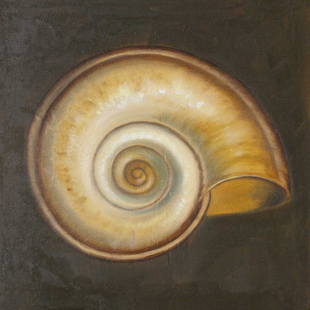 Art Print: Seashell I