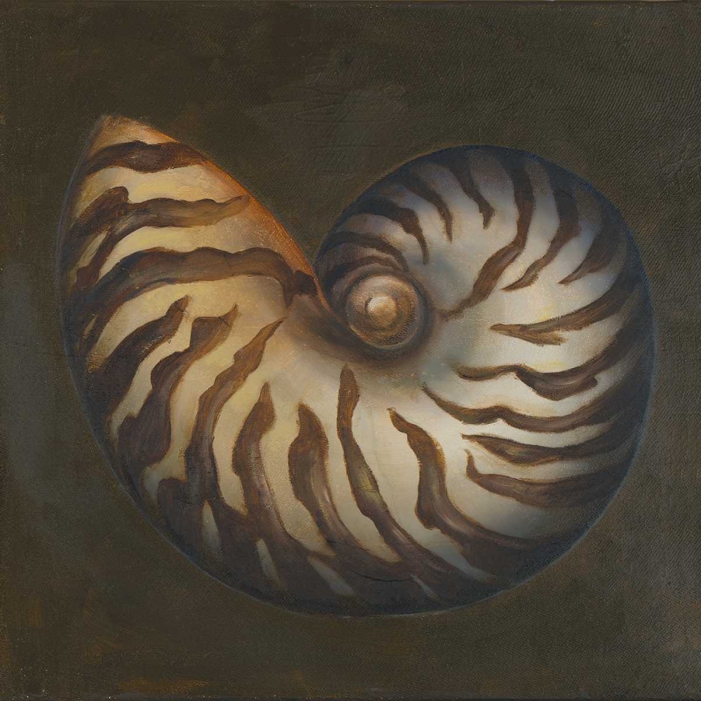 Art Print: Seashell II