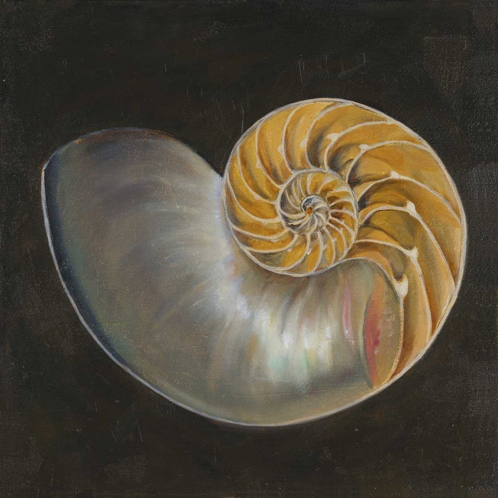 Art Print: Seashell III