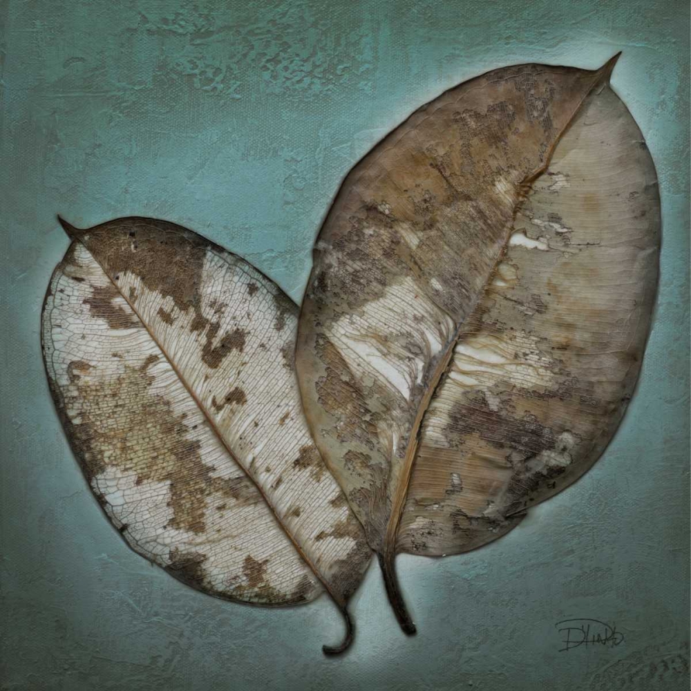 Wall Art Painting id:23618, Name: Beauty in Blue I, Artist: Pinto, Patricia