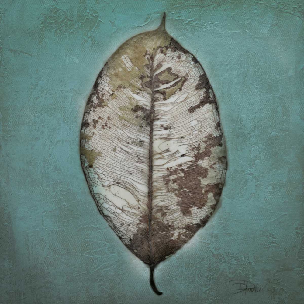 Wall Art Painting id:23619, Name: Beauty in Blue II, Artist: Pinto, Patricia