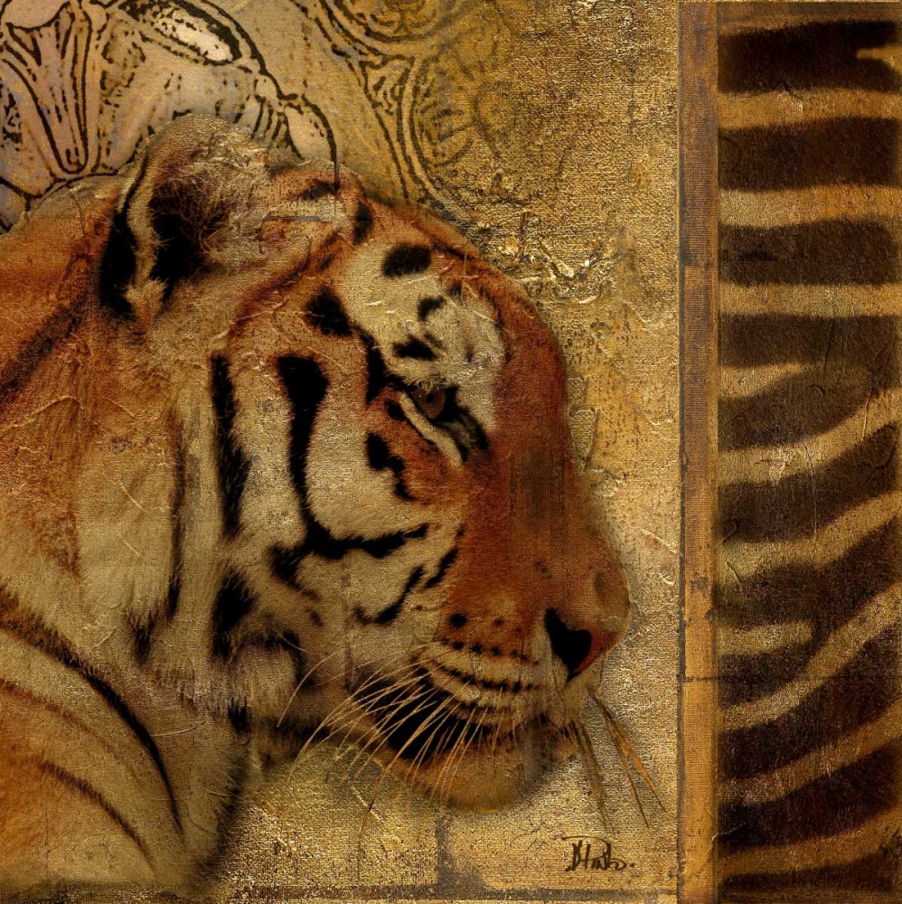 Wall Art Painting id:23499, Name: Elegant Safari II - Tiger, Artist: Pinto, Patricia