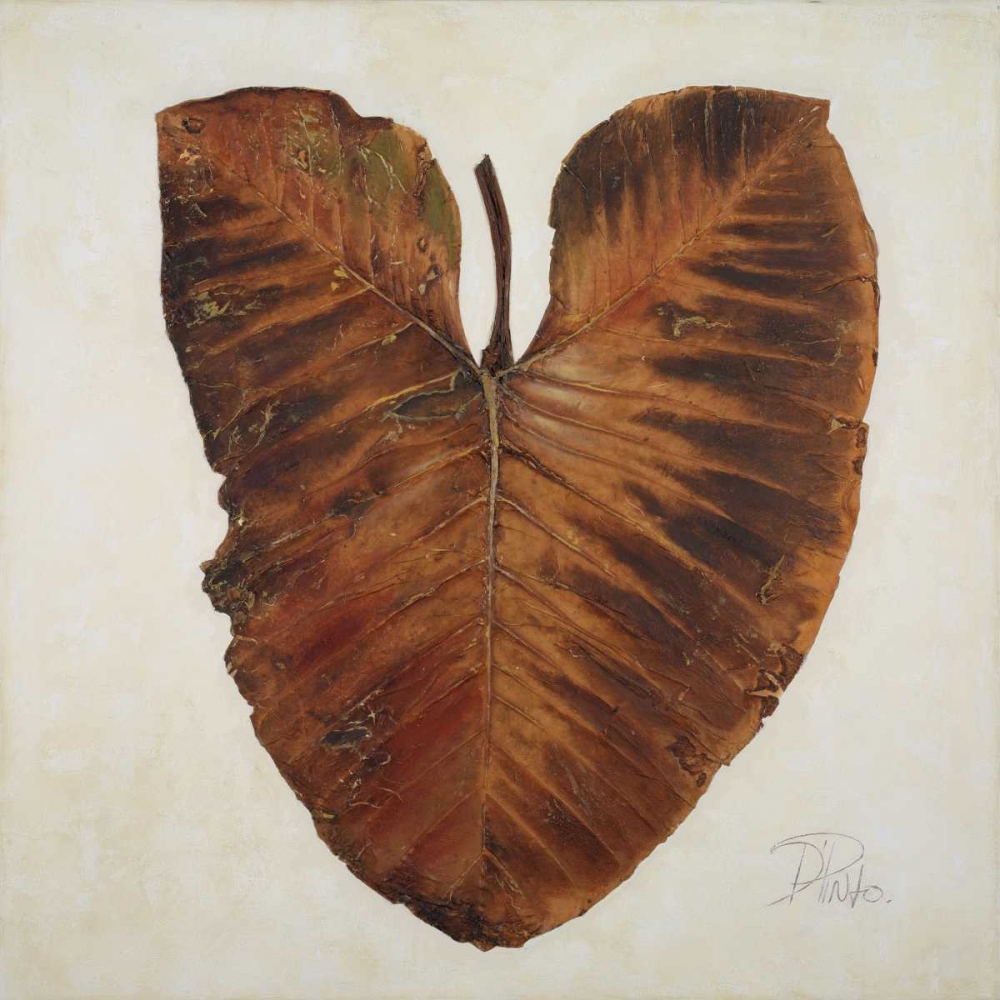 Wall Art Painting id:15254, Name: Amazonas I, Artist: Pinto, Patricia