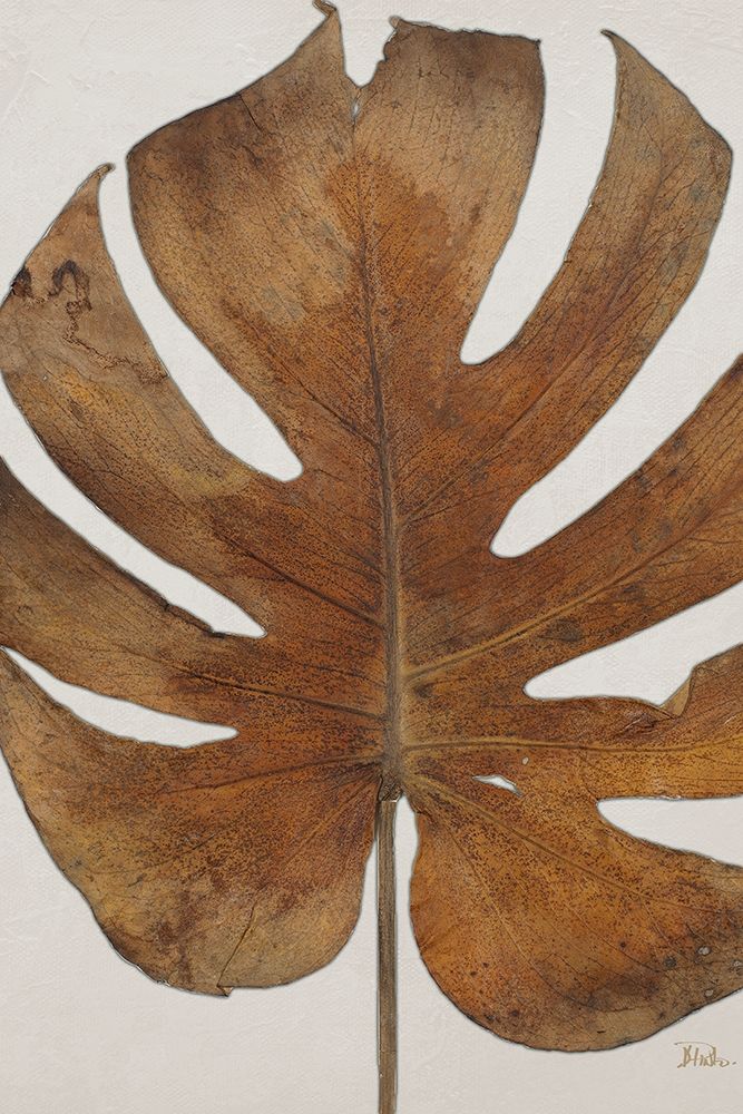 Wall Art Painting id:382275, Name: Dry Balazo I, Artist: Pinto, Patricia