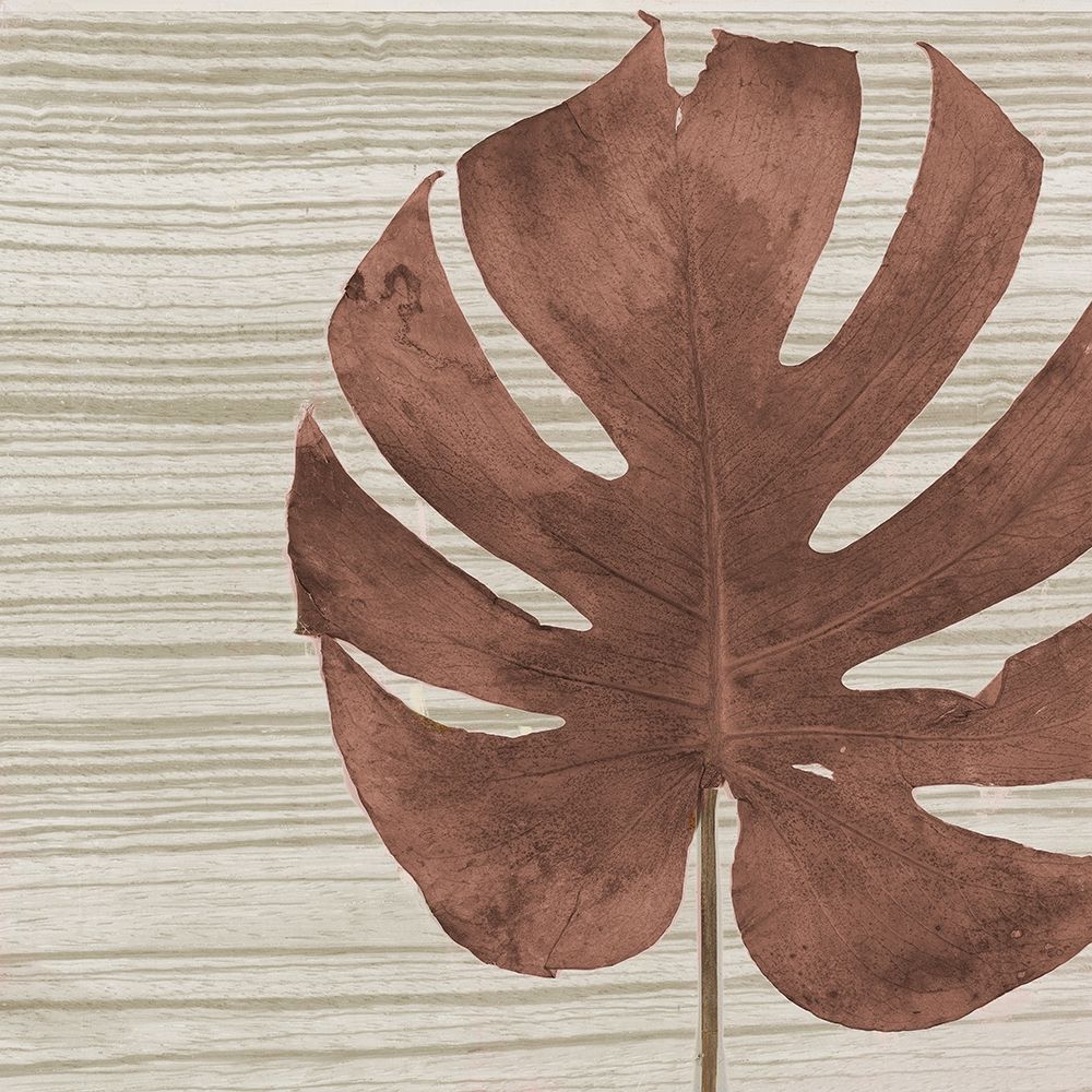 Wall Art Painting id:338631, Name: Dry Balazo on Fabric I, Artist: Pinto, Patricia