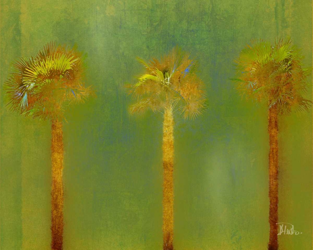 Wall Art Painting id:23546, Name: Three Palms II, Artist: Pinto, Patricia