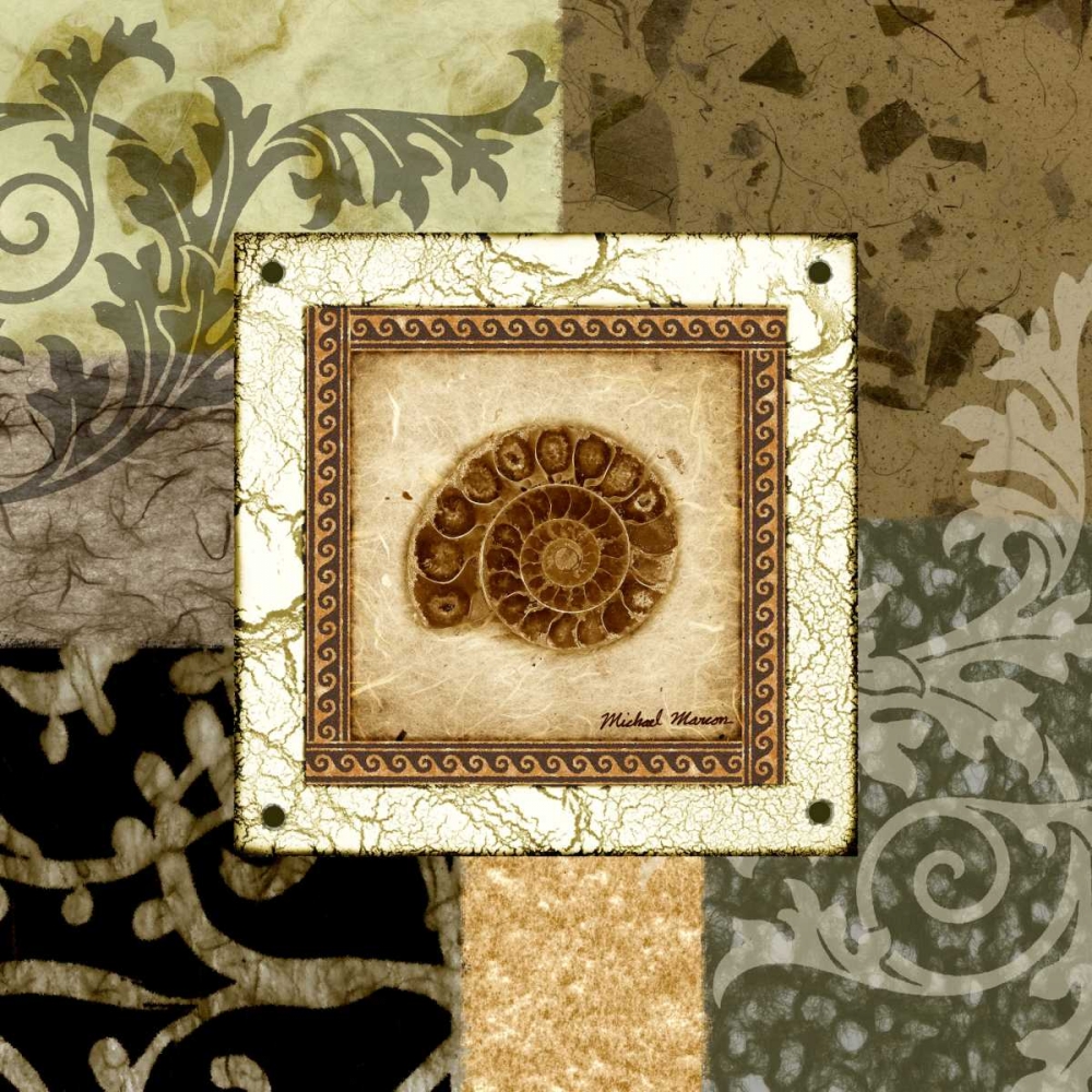 Wall Art Painting id:52097, Name: Nautilus I, Artist: Marcon, Michael