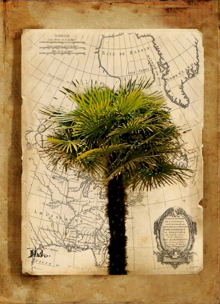 Wall Art Painting id:15302, Name: America I, Artist: Pinto, Patricia