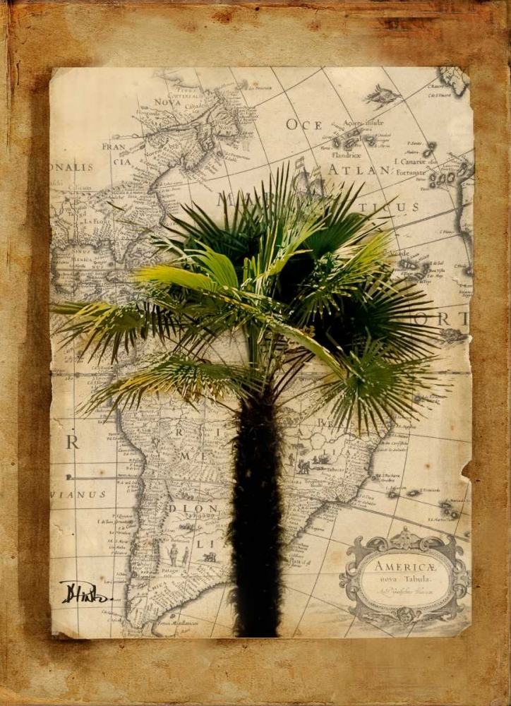 Wall Art Painting id:23550, Name: America II, Artist: Pinto, Patricia