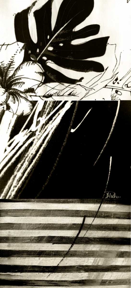 Wall Art Painting id:52235, Name: Black and White Leaves II, Artist: Pinto, Patricia