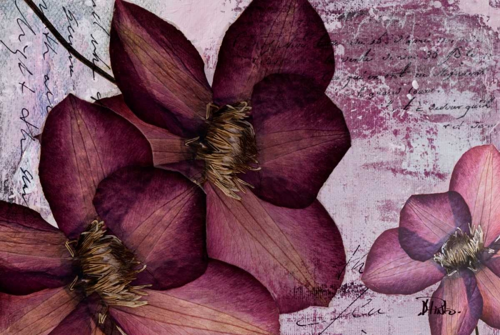 Wall Art Painting id:15328, Name: Pressed Flowers II, Artist: Pinto, Patricia