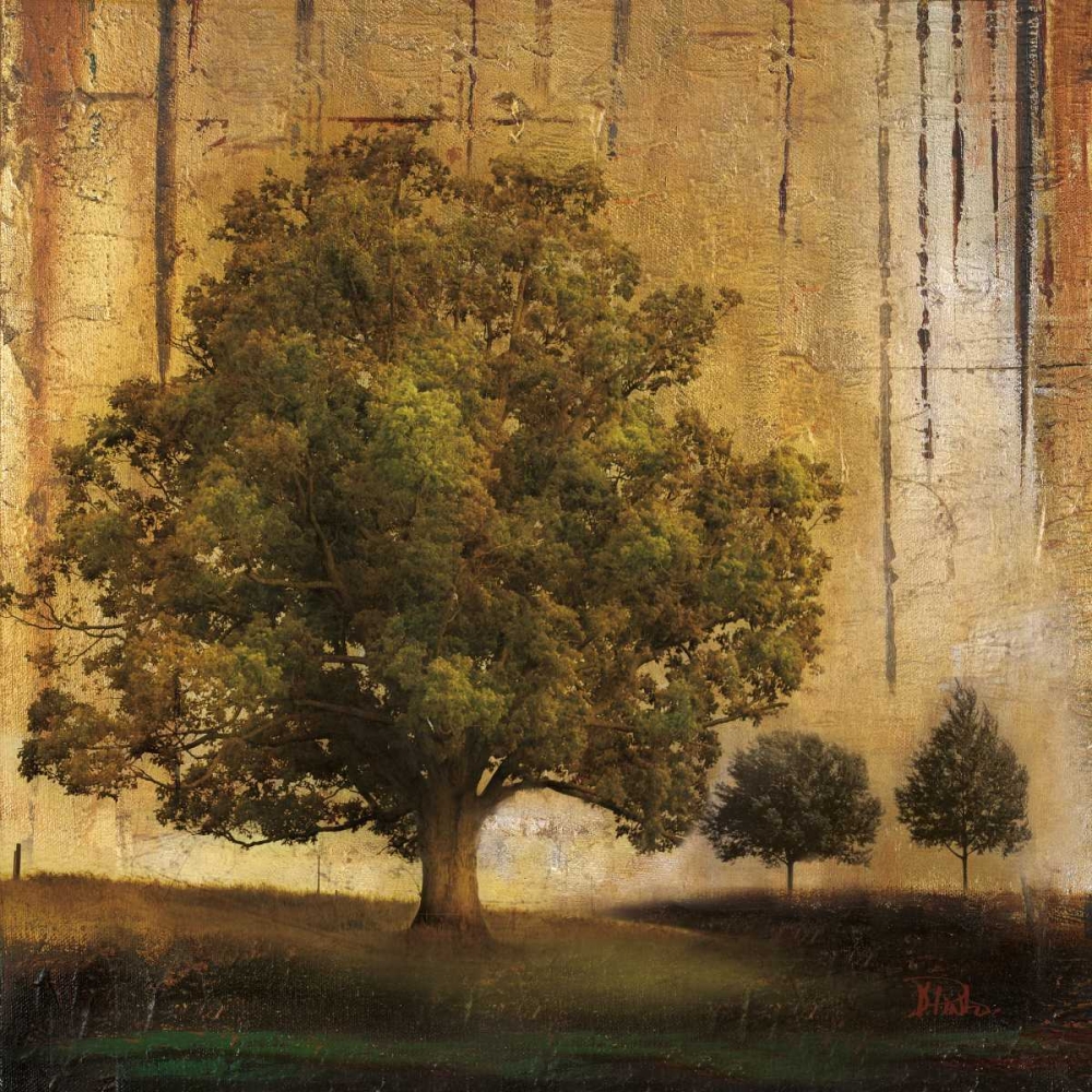 Wall Art Painting id:23567, Name: Aged Tree II, Artist: Pinto, Patricia