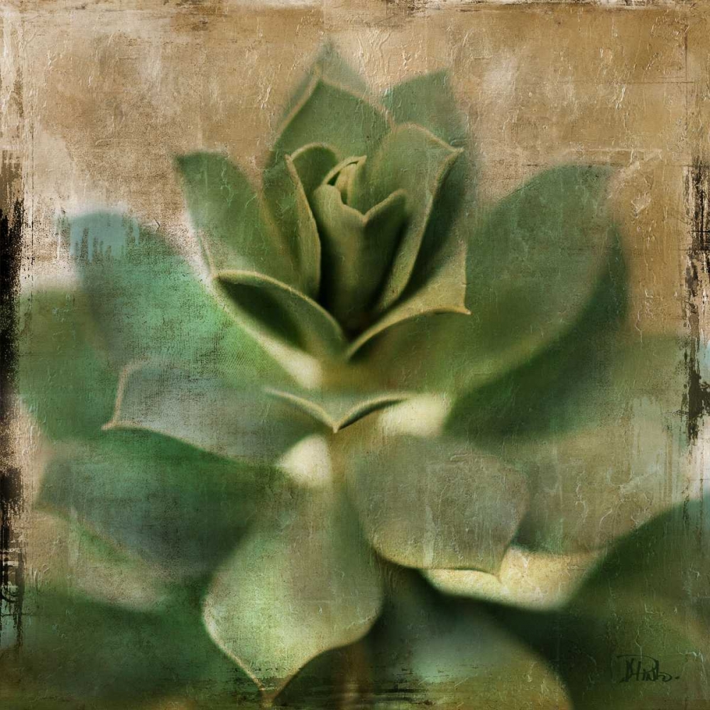 Art Print: Succulent I