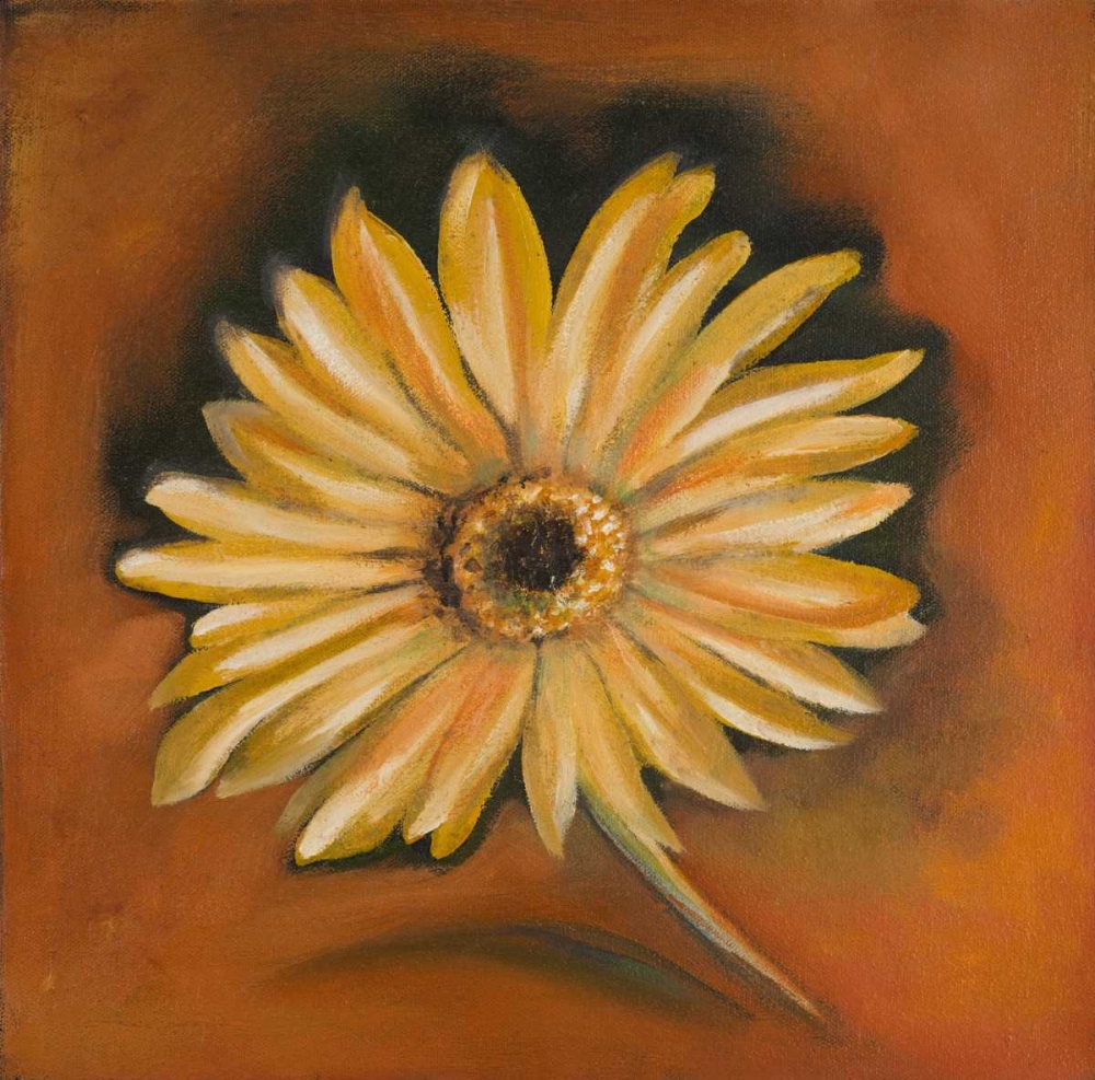 Art Print: Daisy Collection I
