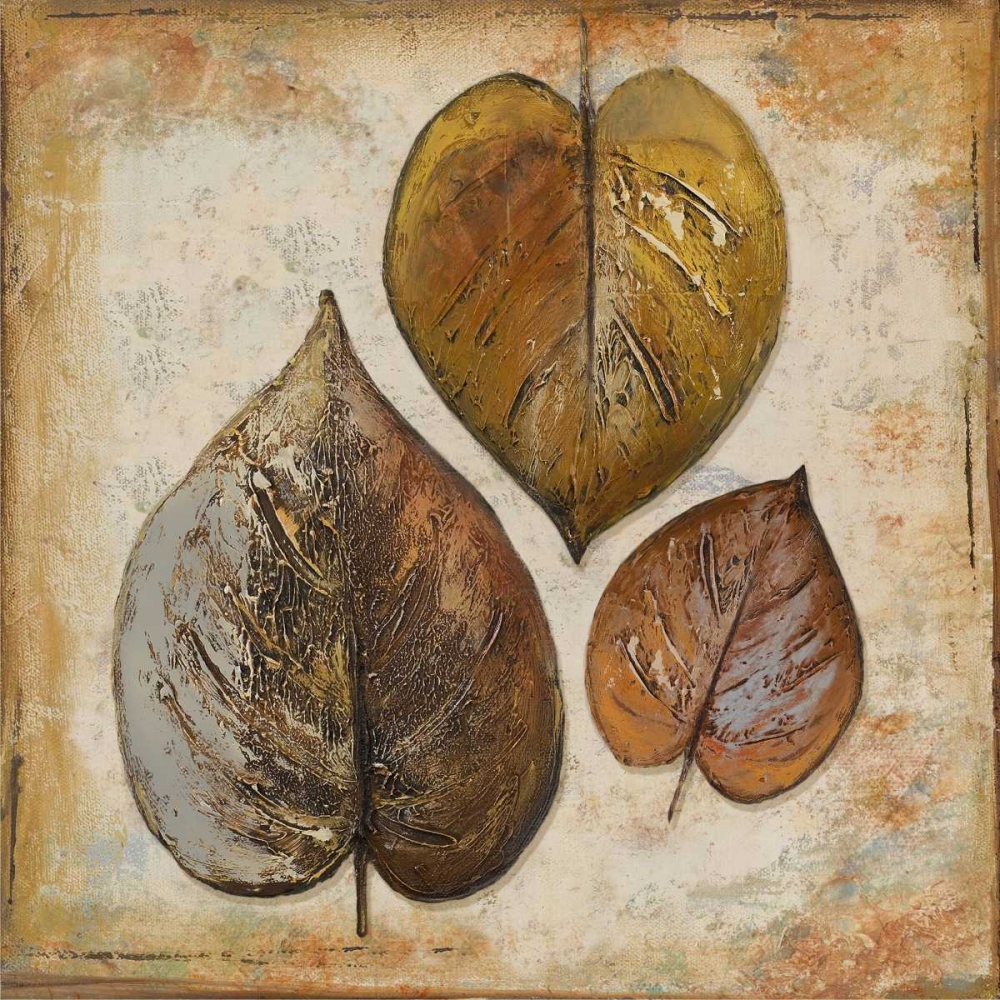 Wall art: Natural Leaves II, by Pinto, Patricia
