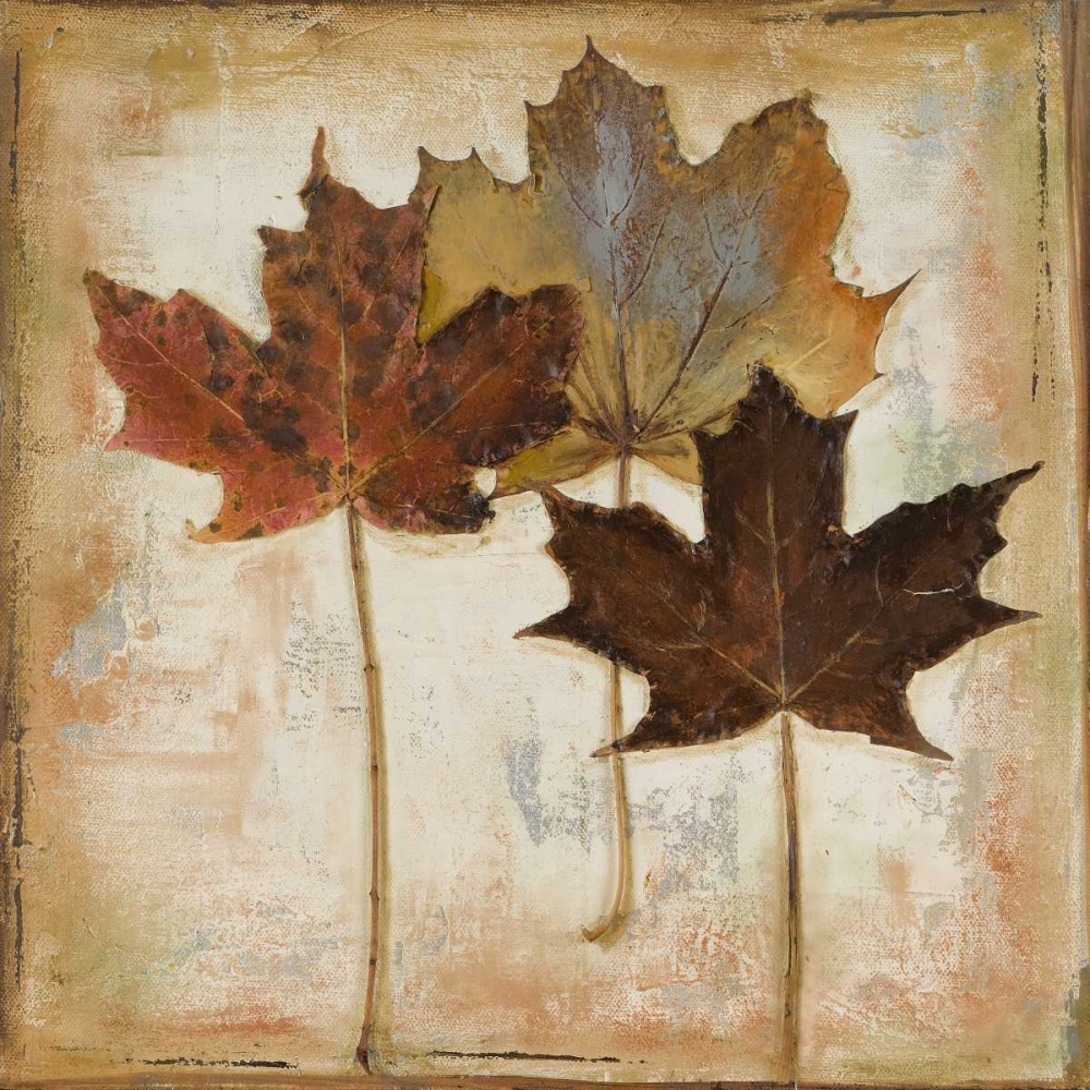 Wall Art Painting id:23914, Name: Natural Leaves III, Artist: Pinto, Patricia