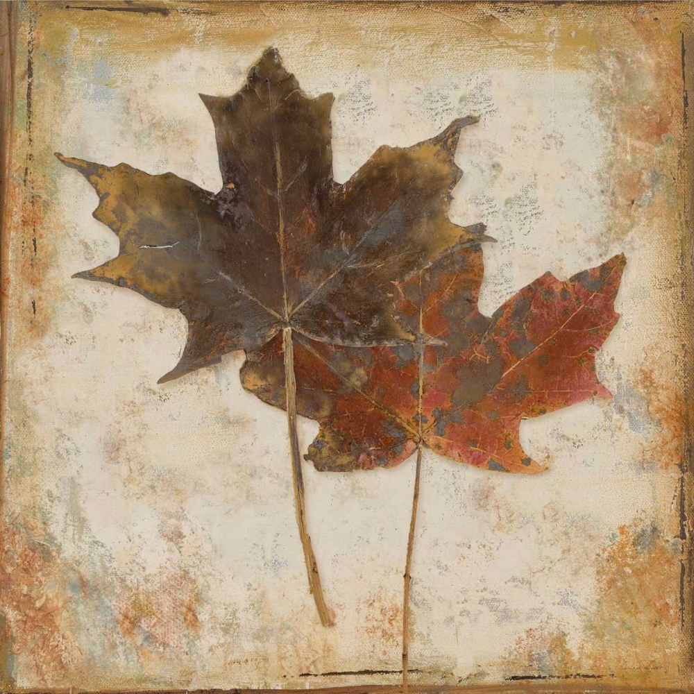 Wall Art Painting id:23915, Name: Natural Leaves IV, Artist: Pinto, Patricia