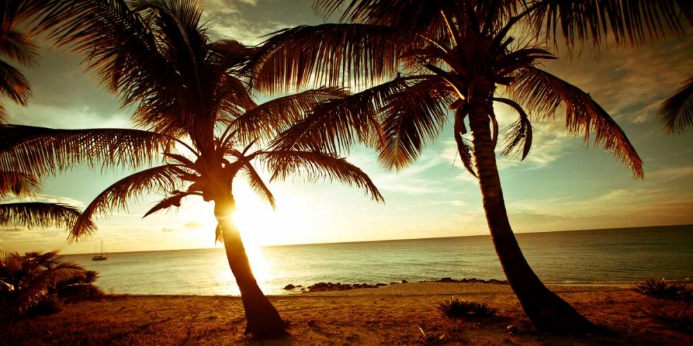 Wall Art Painting id:15446, Name: Bimini Sunset, Artist: Bryant, Susan