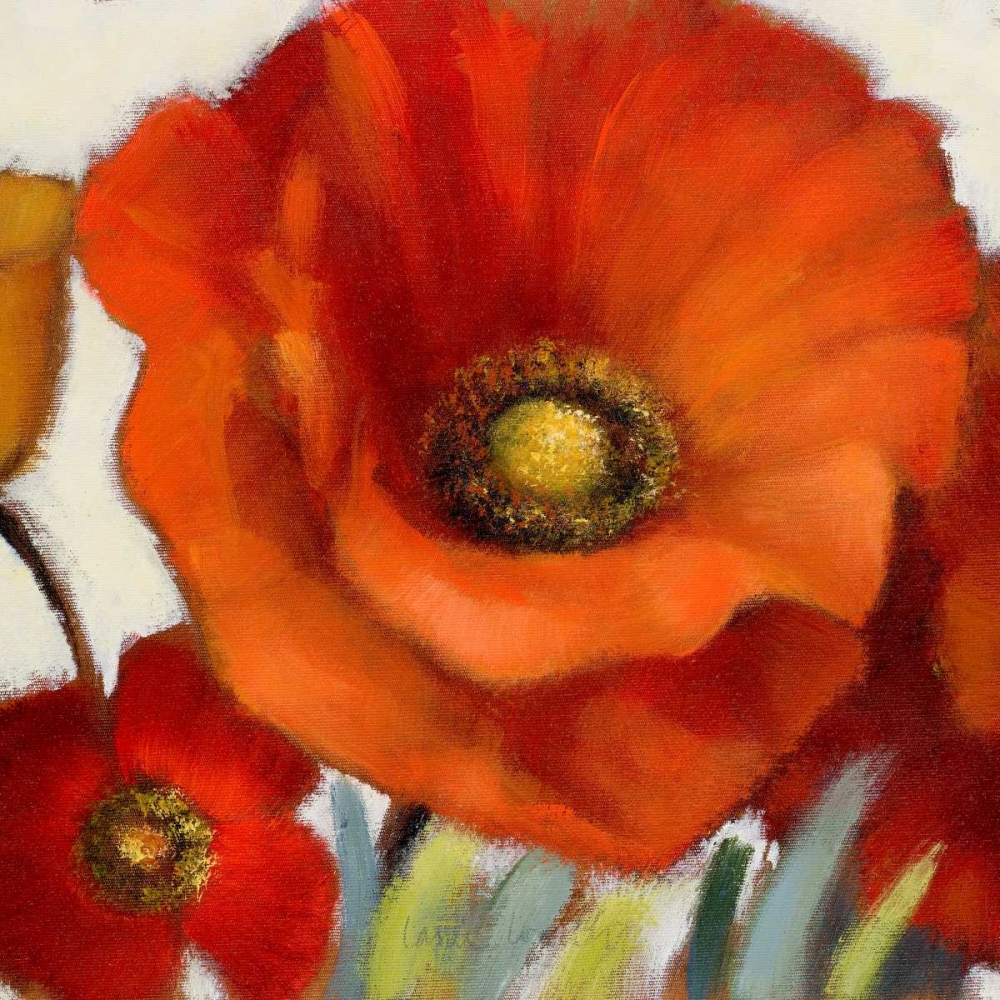 Wall art: Poppy Splendor Square 1(Closeup), by Loreth, Lanie