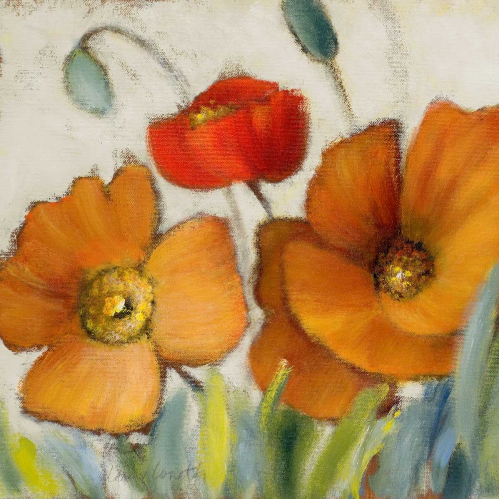 Wall art: Poppy Splendor Square III, by Loreth, Lanie