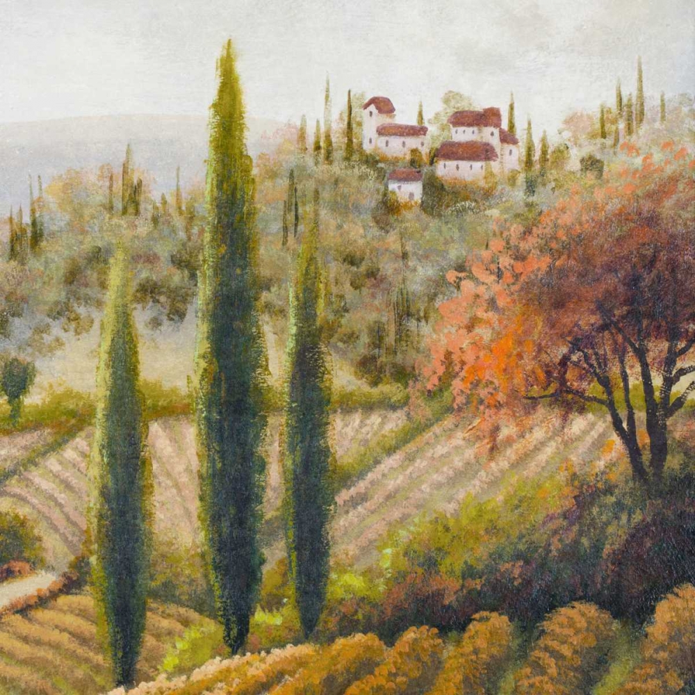 Wall Art Painting id:15475, Name: Tuscany Vineyard II, Artist: Marcon, Michael