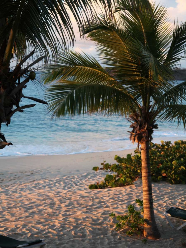 Wall Art Painting id:15479, Name: Sunset Palms II, Artist: Bryant, Susan