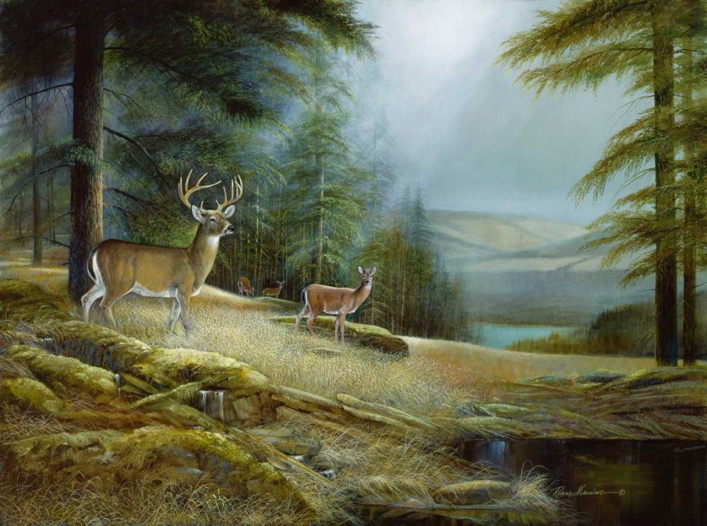 Wall art: Mountaintop Retreat, by Manning, Ruane