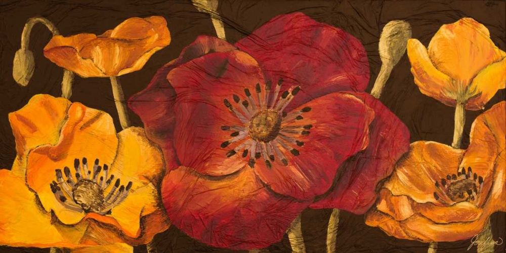 Wall Art Painting id:51069, Name: Dazzling Poppies I, Artist: Josefina