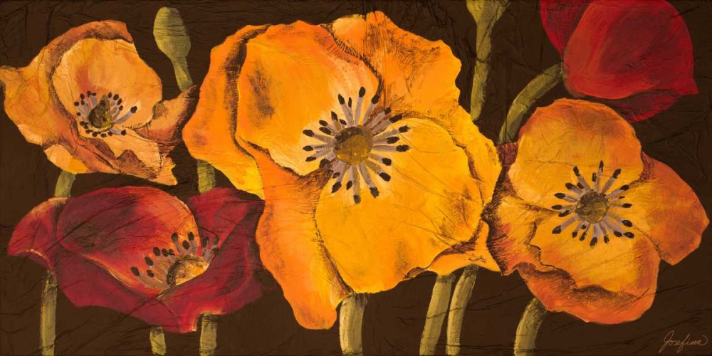 Wall Art Painting id:51070, Name: Dazzling Poppies II, Artist: Josefina