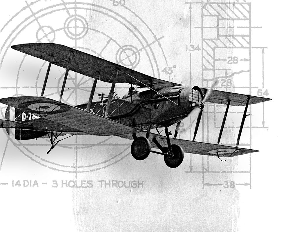 Art Print: Flight Plans I