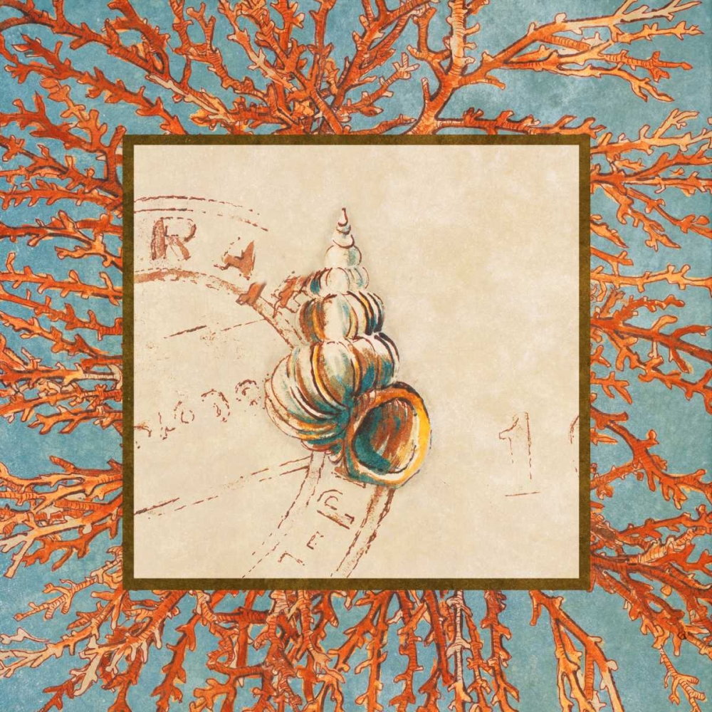 Wall Art Painting id:24007, Name: Coral Medley Shell III, Artist: Loreth, Lanie