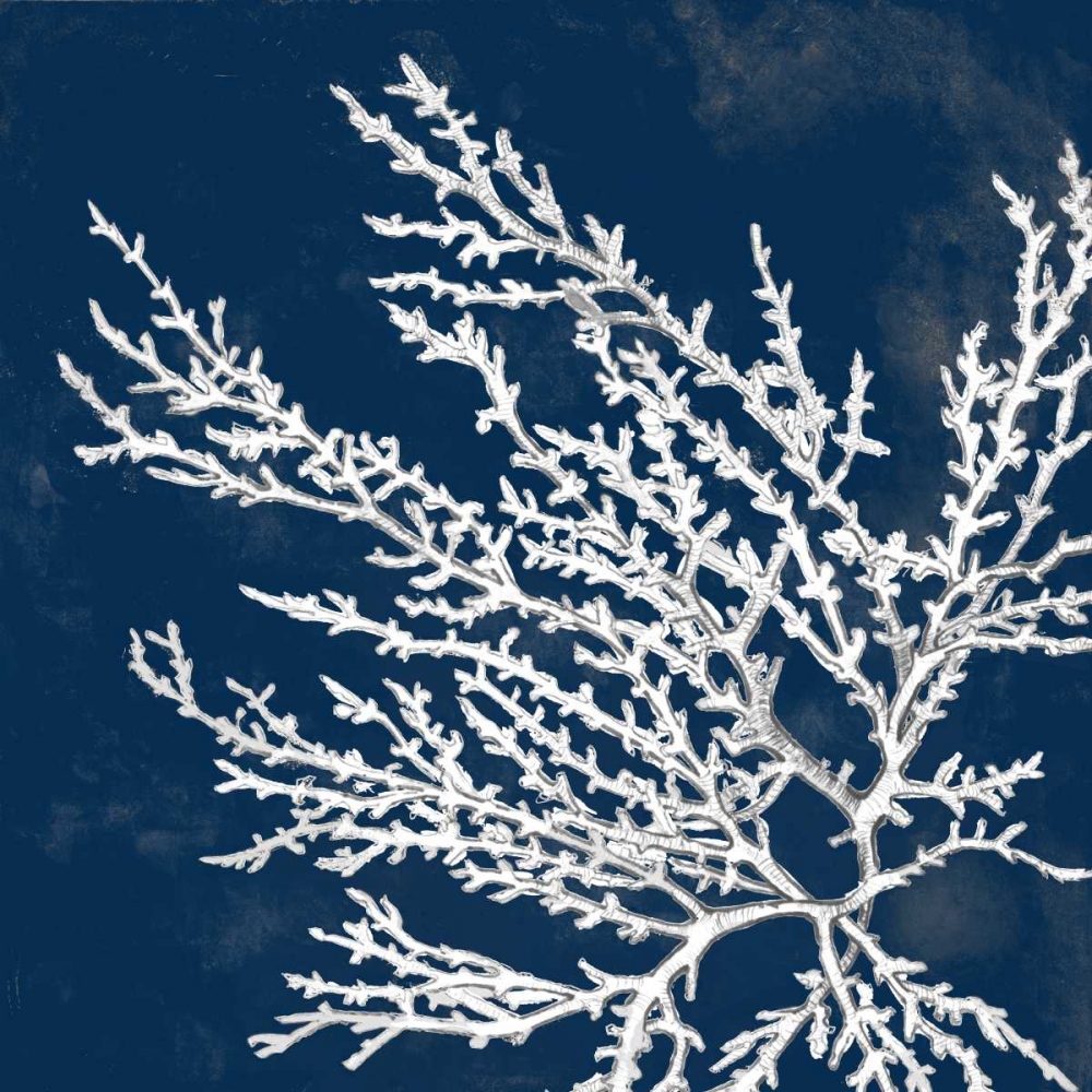 Wall Art Painting id:24124, Name: Coastal Coral I, Artist: Loreth, Lanie