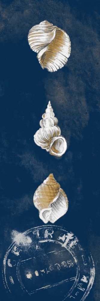Wall Art Painting id:24008, Name: Coastal Shells Panel I, Artist: Loreth, Lanie
