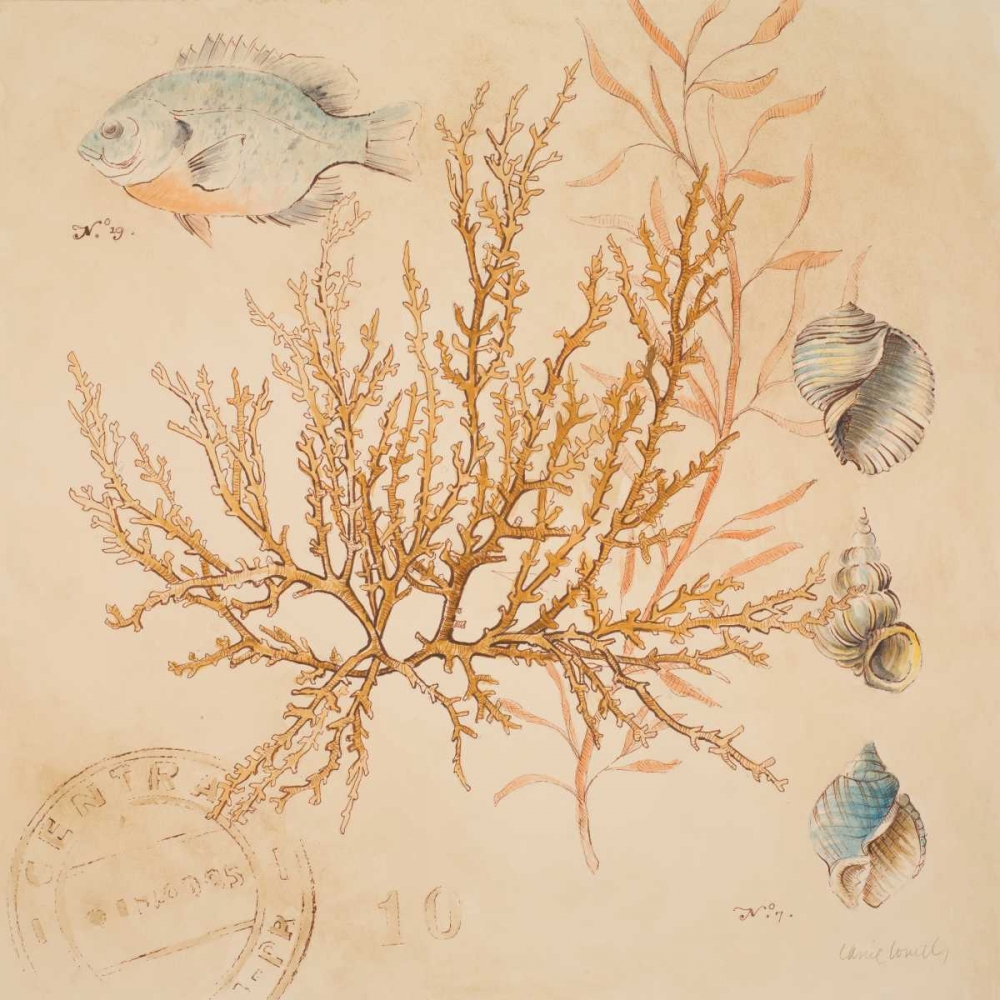 Wall Art Painting id:24280, Name: Coral Medley I, Artist: Loreth, Lanie