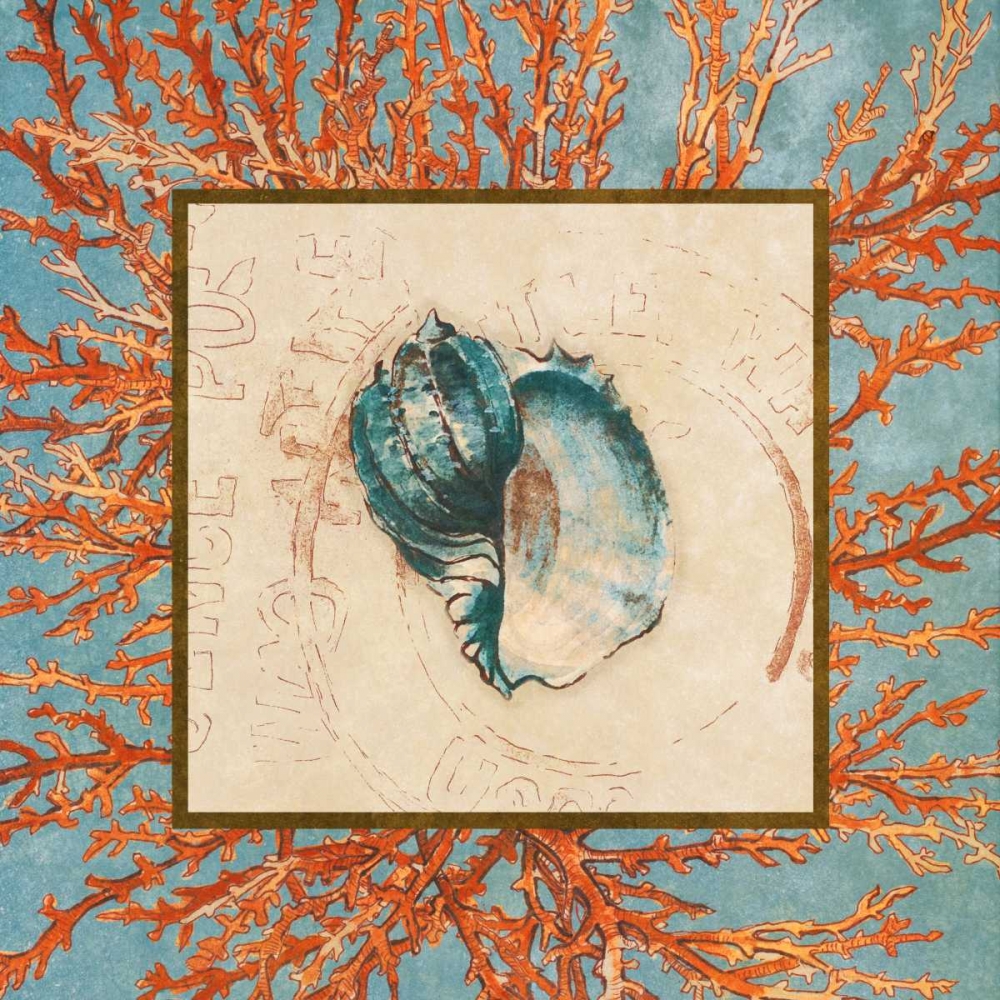 Wall Art Painting id:24009, Name: Coral Medley Shell II, Artist: Loreth, Lanie