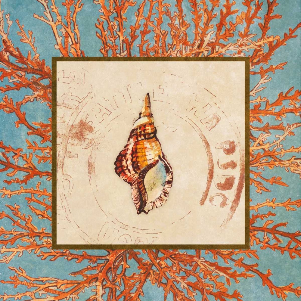 Wall Art Painting id:24010, Name: Coral Medley Shell IV, Artist: Loreth, Lanie