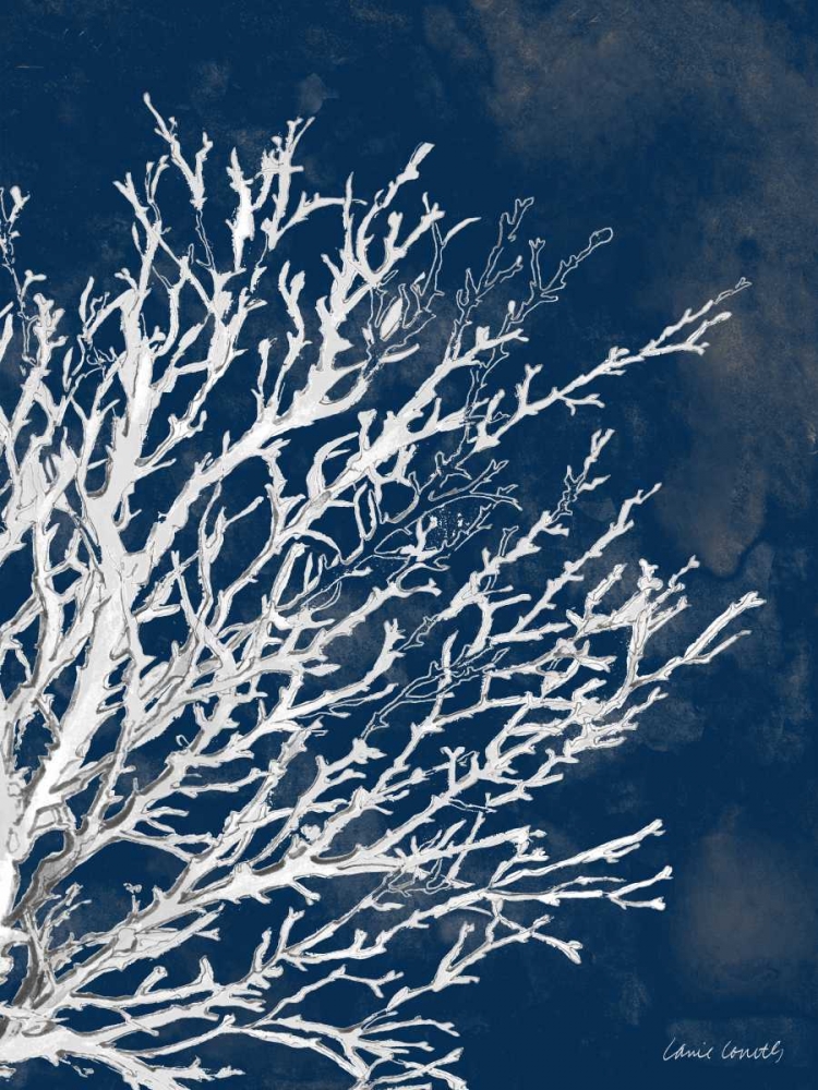 Wall Art Painting id:52054, Name: Coastal Coral II, Artist: Loreth, Lanie