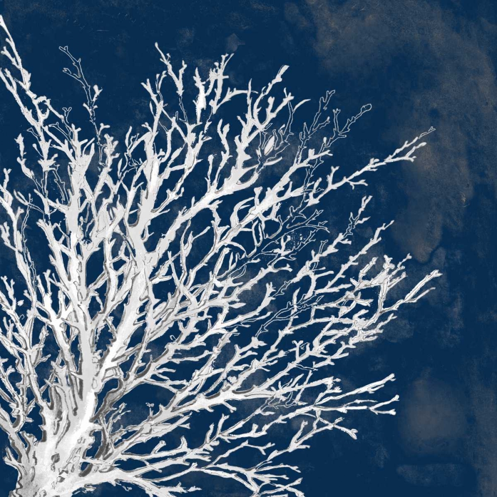 Wall Art Painting id:24125, Name: Coastal Coral II, Artist: Loreth, Lanie