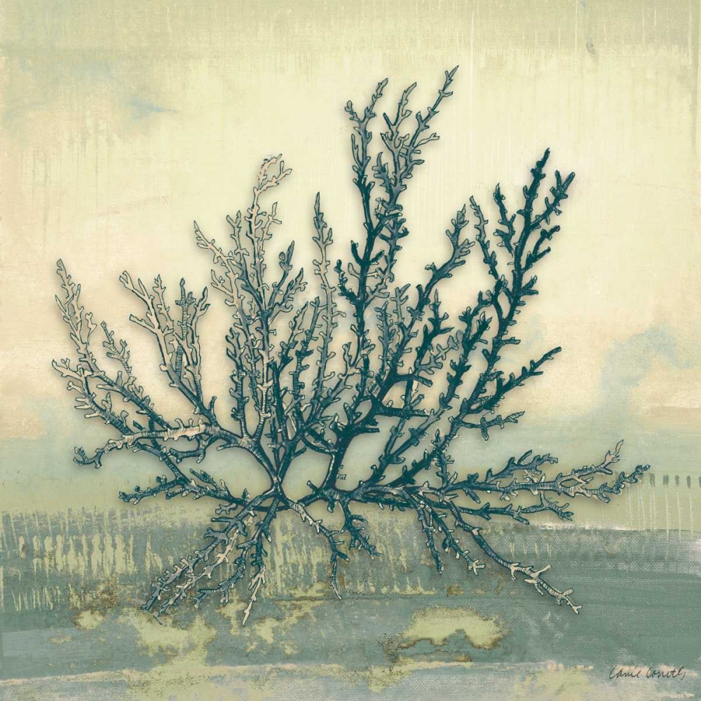 Wall Art Painting id:77958, Name: Coastal Coral I, Artist: Loreth, Lanie