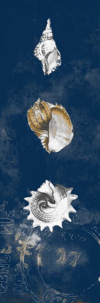 Wall Art Painting id:24011, Name: Coastal Shells Panel II, Artist: Loreth, Lanie