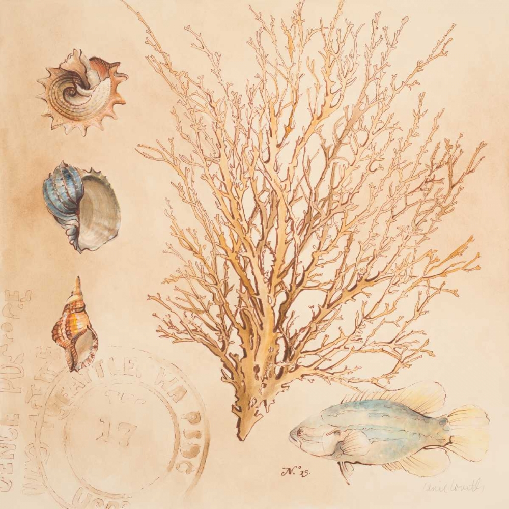 Wall Art Painting id:24281, Name: Coral Medley II, Artist: Loreth, Lanie