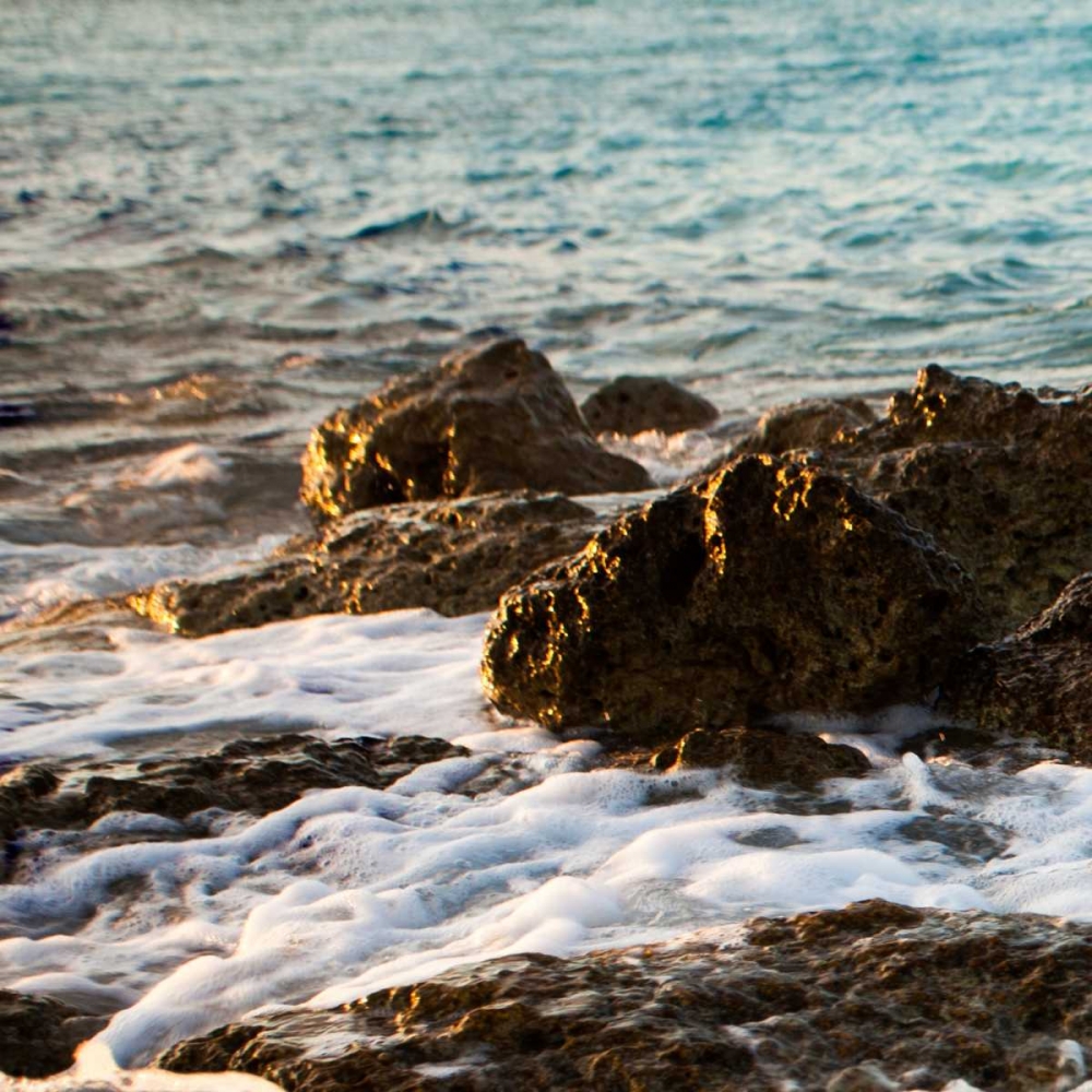 Wall Art Painting id:24025, Name: On the Rocks I, Artist: Bryant, Susan