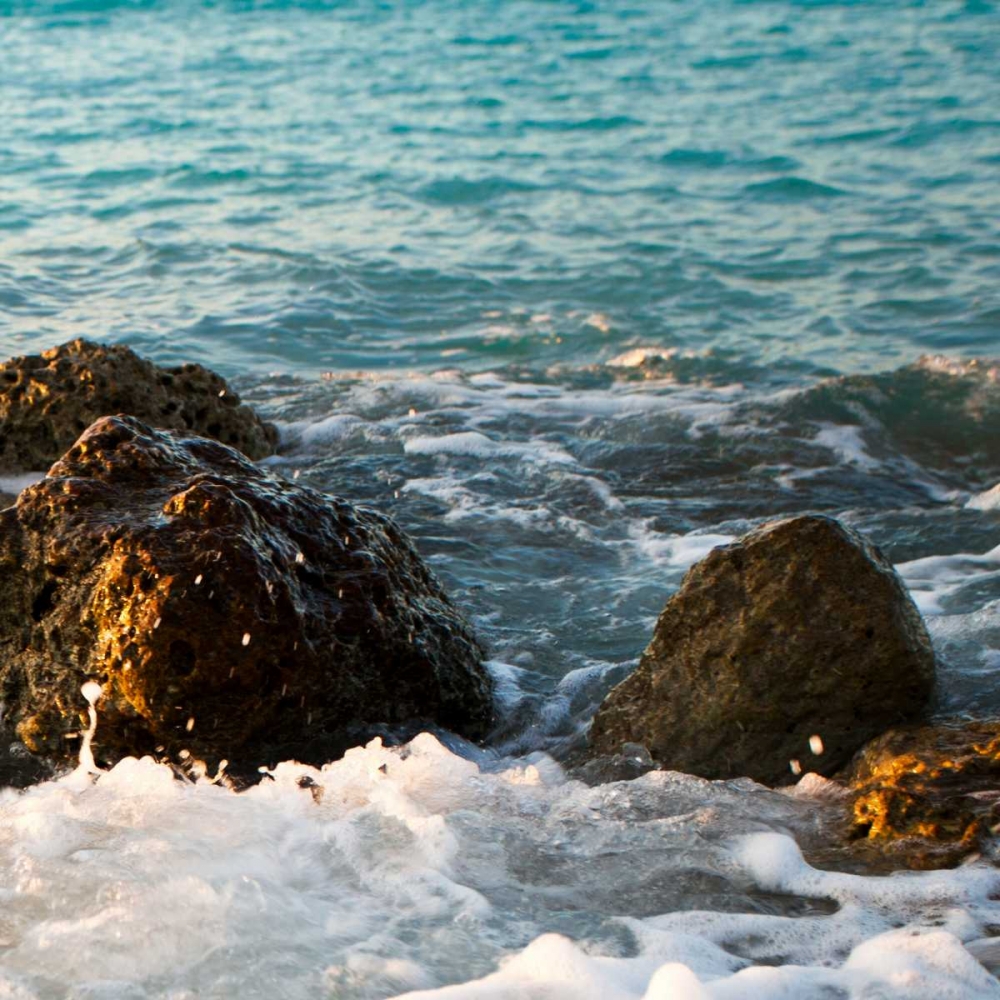 Wall Art Painting id:24026, Name: On the Rocks II, Artist: Bryant, Susan